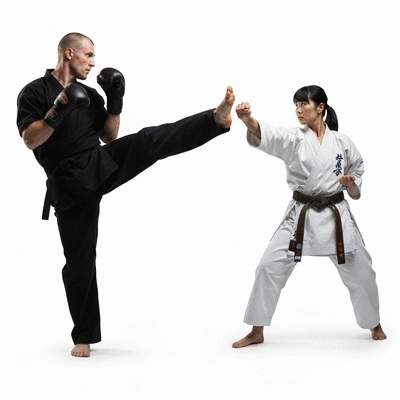 Two martial artists, one performing a kickboxing move and another a karate pose, in a dynamic comparison on a clean background, no text, no words, no typography, 8K